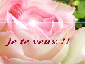 C'est toi !