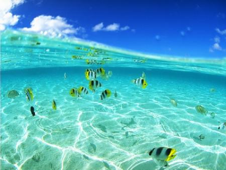 La plus belle des mers